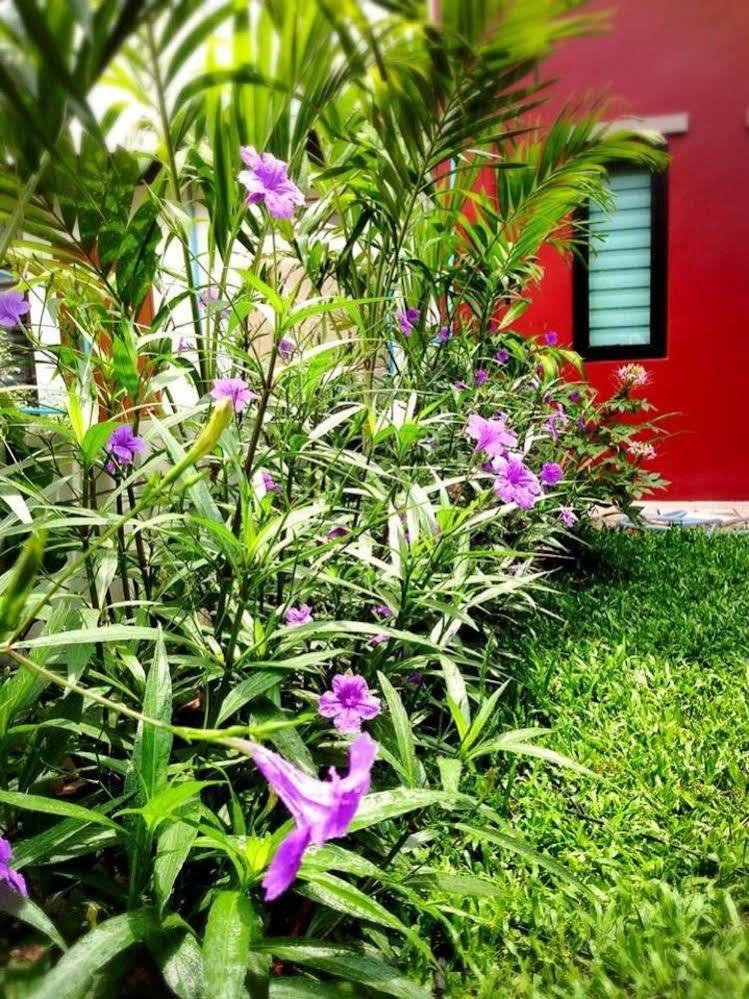 Hotel Mulberry House Pak Thong Chai Zewnętrze zdjęcie